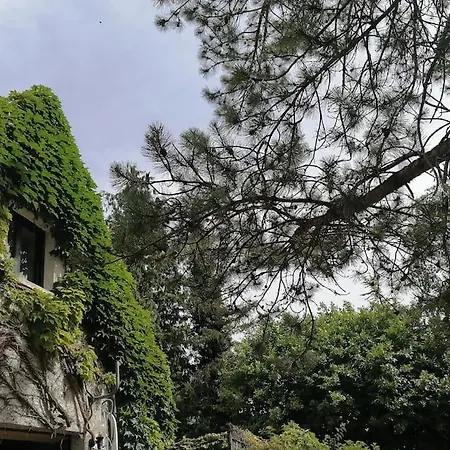 Gite Hautes Cotes De Nuits Curtil-Vergy Exterior photo